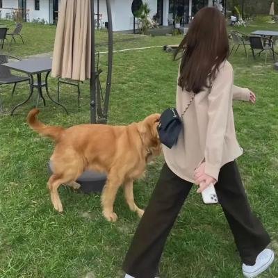 新白蛇传之九尾狐
